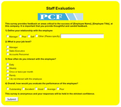 Example Online Survey Form